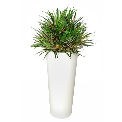 Planta semi-artificiala Ila, Rainbow Bush Green Red - 100 cm